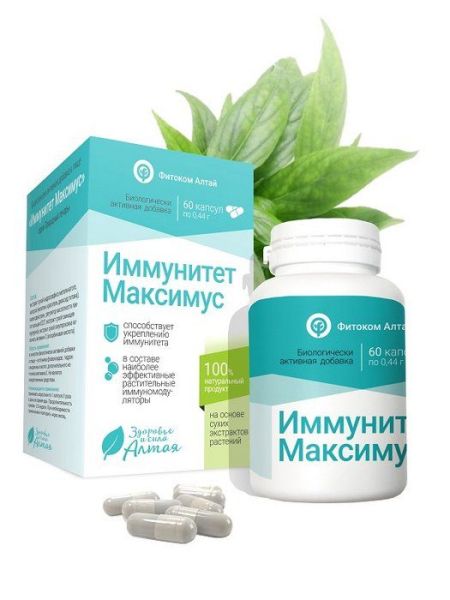Изображение товара Природный лекарь иммунитет максимус Фитоком Алтай №60 Природный лекарь иммунитет максимус Фитоком Алтай №60 фотография